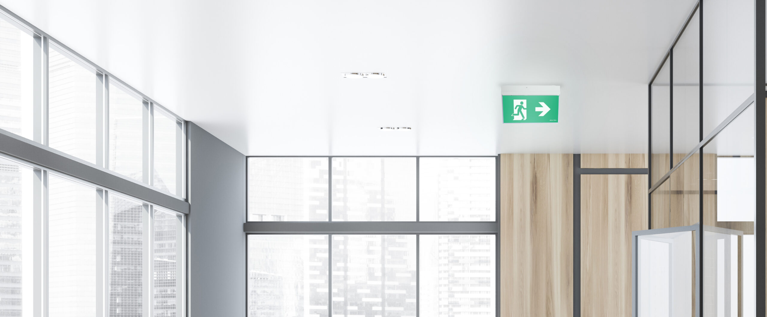 Ektor emergency exit sign in commercial office