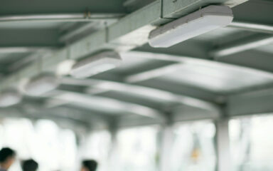 Outdoor batten light fixtures mounted to undercover roof area