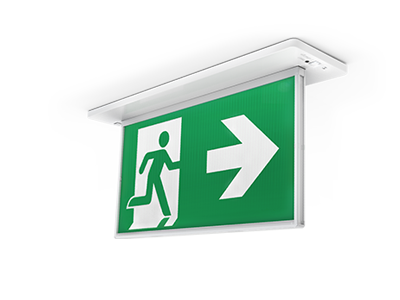 Razor 24m Green Exit Sign